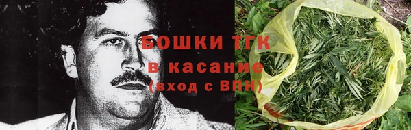 мдпв Болотное