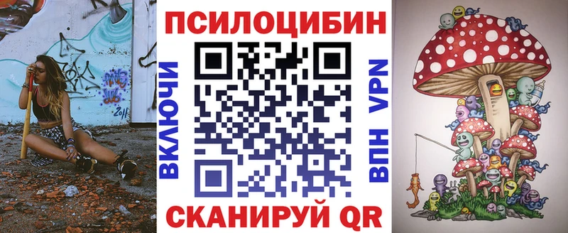 Купить закладки  Кедровый  Псилоцибиновые грибы мицелий 