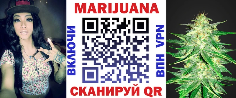 Марихуана MAZAR  Купить где  Кедровый 
