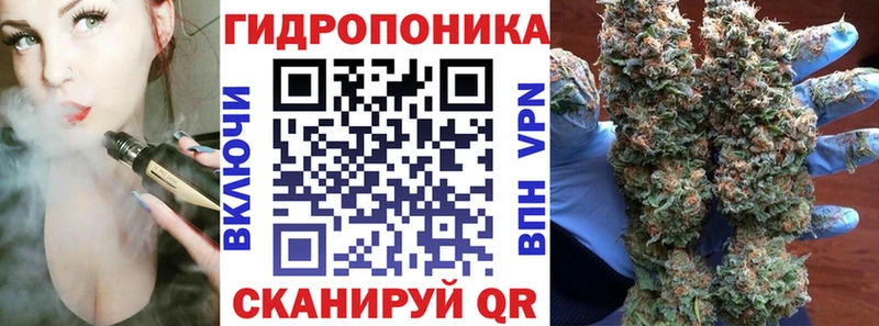МАРИХУАНА план Кедровый